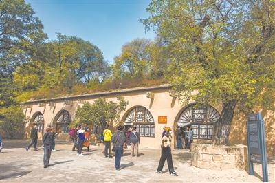 2112060632483418902.jpg 2112060632483418902.jpg